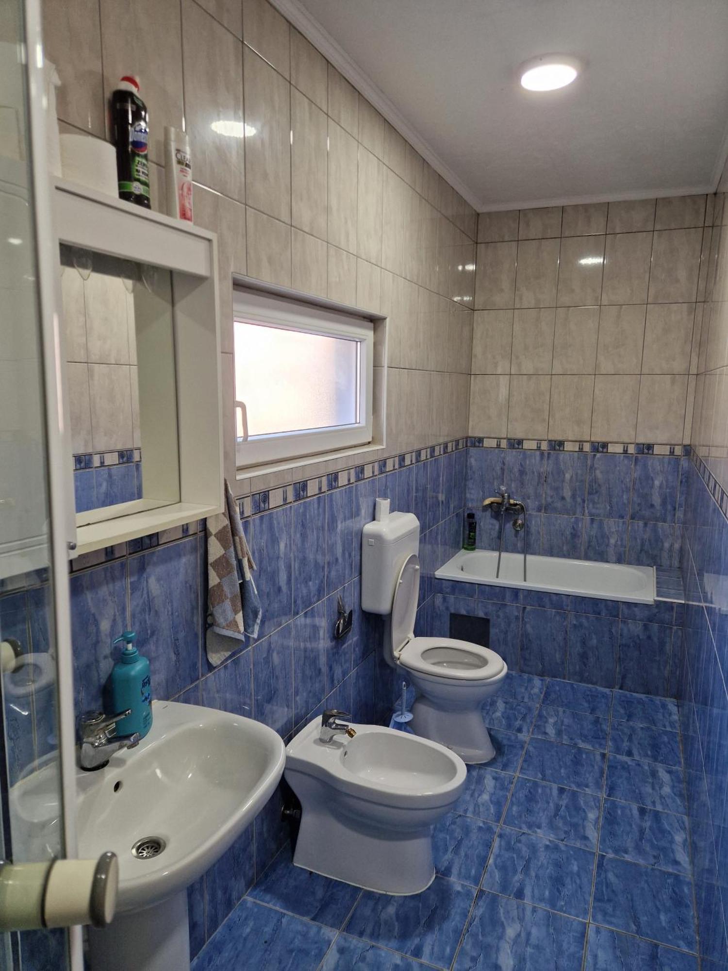 Apartment Vujovic